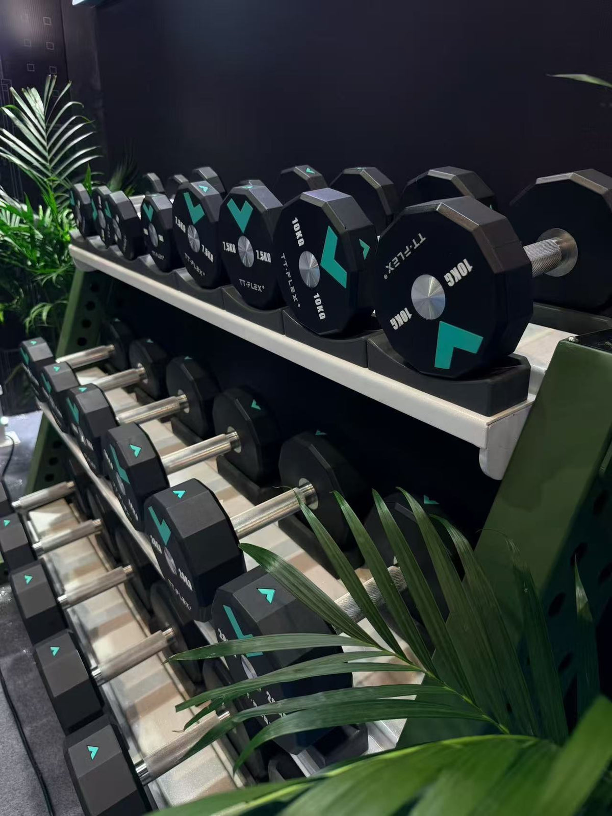 CPU Dumbbells — image 4